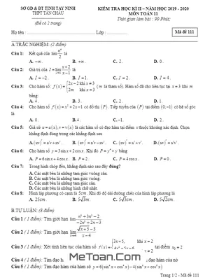 Đề thi học kì 2 Toán 11 năm 2019 - 2020 trường THPT Tân Châu - Tây Ninh - Mã đề 111