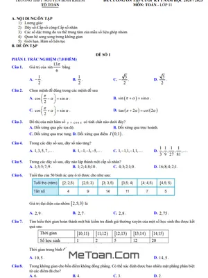 Đề Cương Ôn Tập Cuối Kì 1 Toán 11 Năm 2024 - 2025 Trường THPT Nguyễn Bỉnh Khiêm - Gia Lai