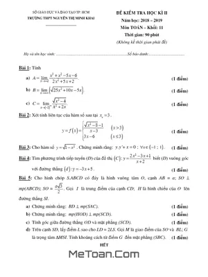 Đề thi học kì 2 Toán 11 năm 2018 - 2019 trường THPT Nguyễn Thị Minh Khai - TP.HCM