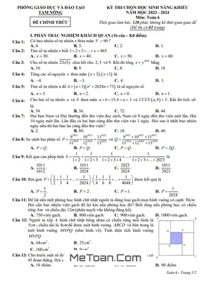 Đề thi chọn học sinh giỏi Toán 6 năm 2023 - 2024 phòng GD&ĐT Tam Nông - Phú Thọ