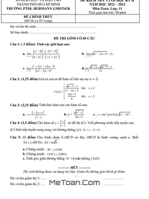 Đề thi học kỳ 2 Toán 11 năm 2022 - 2023 trường PTDL Hermann Gmeiner - TP HCM