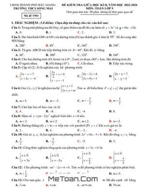 Đề Thi Giữa Kì 2 Toán 9 Năm 2023 - 2024 Trường THCS Song Mai - Bắc Giang