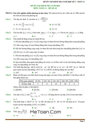 Tuyển Tập 10 Đề Ôn Tập Cuối Kì 1 Toán 11 CTST Trắc Nghiệm Mới Nhất 2024-2025
