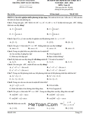 Đề Thi Giữa Kỳ 1 Toán 10 Năm 2025 - 2026 THPT Xuân Trường - Ninh Bình (Có Đáp Án Chi Tiết)