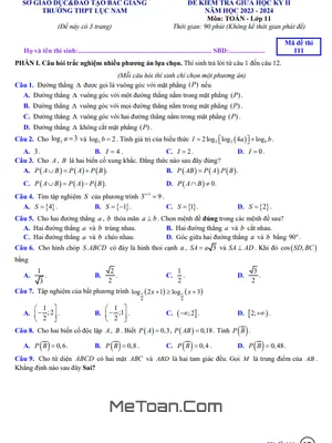 Đề thi giữa kỳ 2 Toán 11 năm 2023 - 2024 trường THPT Lục Nam - Bắc Giang
