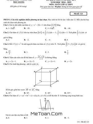 Đề thi học kì 1 Toán 12 năm 2024 - 2025 sở GD&ĐT Bắc Giang