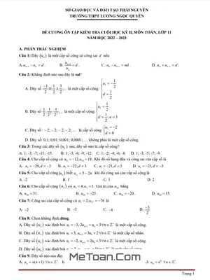 Đề Cương Ôn Tập Cuối Kỳ 2 Toán 11 Năm 2022-2023 THPT Lương Ngọc Quyến - Thái Nguyên