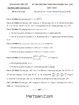 Đề thi chọn HSG Toán năm 2019 - 2020 trường THPT Ngô Gia Tự - Phú Yên