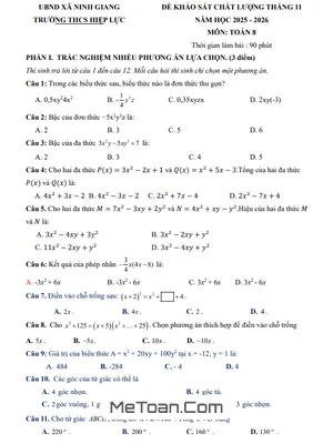 Đề Khảo Sát Toán 8 Tháng 11 Năm 2025 Trường THCS Hiệp Lực (Hải Phòng) Có Đáp Án