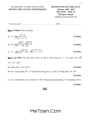 Đề Thi Giữa Kỳ 2 Toán 11 Năm 2022 - 2023 Trường THPT Nguyễn Thị Minh Khai - TP.HCM