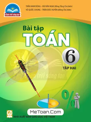 Sách Bài Tập Toán 6 Tập 2 (Chân Trời Sáng Tạo) - Rèn Luyện Kiến Thức Toán Học