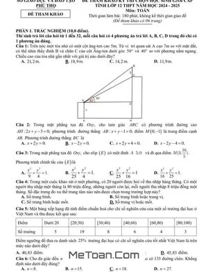 Đề Tham Khảo HSG Tỉnh Toán 12 Năm 2024 - 2025 Sở GD&ĐT Phú Thọ