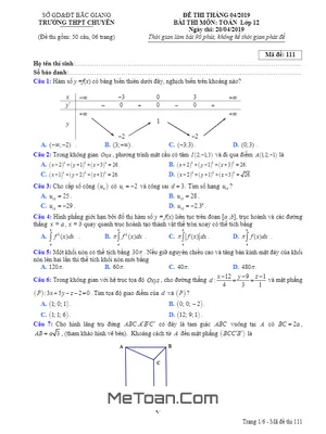 Đề thi thử Toán THPT Quốc gia tháng 4/2019 trường THPT chuyên Bắc Giang - Mã đề 111