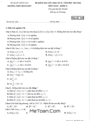 Đề thi giữa kì 2 Toán 11 năm 2021 - 2022 trường THPT Đoàn Kết - Đồng Nai