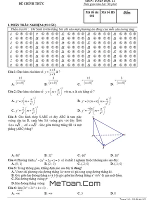 Đề thi học kỳ 2 Toán 11 năm 2018 - 2019 trường Thống Nhất A - Đồng Nai