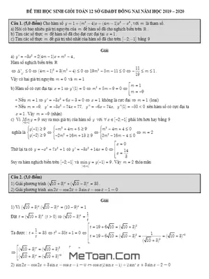 Đề thi HSG tỉnh Toán 12 THPT năm 2019 - 2020 Sở GD&ĐT Đồng Nai