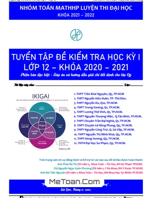 Tuyển Tập Đề Kiểm Tra Học Kỳ 1 Toán 12 - Các Trường THPT Tại TP. HCM