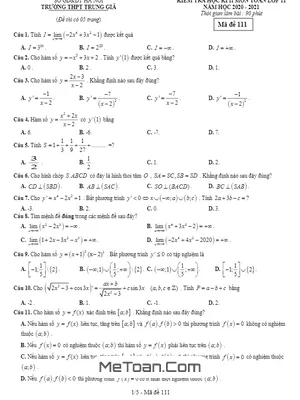 Đề thi học kì 2 Toán 11 năm 2019 - 2020 trường THPT Trung Giã - Hà Nội