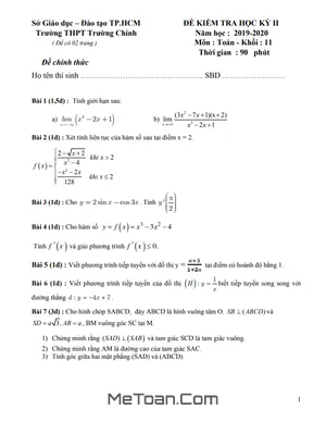 Đề thi học kì 2 môn Toán lớp 11 năm 2019 - 2020 trường THPT Trường Chinh - TP.HCM