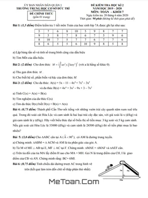 Đề kiểm tra học kỳ 2 Toán lớp 7 năm 2019 - 2020 trường THCS Đức Trí - TP HCM