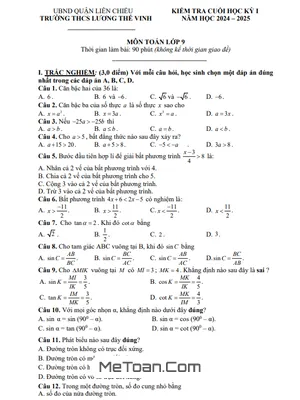 Đề thi học kỳ 1 Toán 9 năm 2024 - 2025 trường THCS Lương Thế Vinh - Đà Nẵng