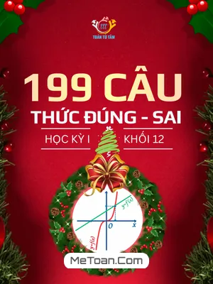Trọn bộ 199 câu trắc nghiệm Đúng/Sai ôn tập học kỳ 1 Toán 12 (Có đáp án chi tiết)