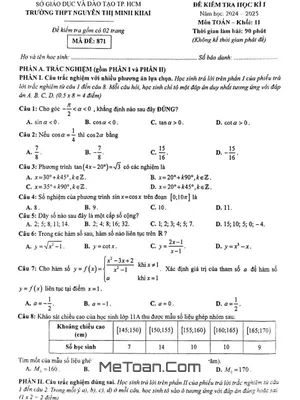Đề thi học kì 1 Toán 11 năm 2024 - 2025 trường THPT Nguyễn Thị Minh Khai - TP HCM