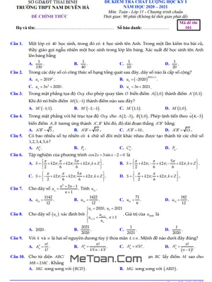 Đề thi HK1 Toán 11 năm 2020 - 2021 trường THPT Nam Duyên Hà - Thái Bình