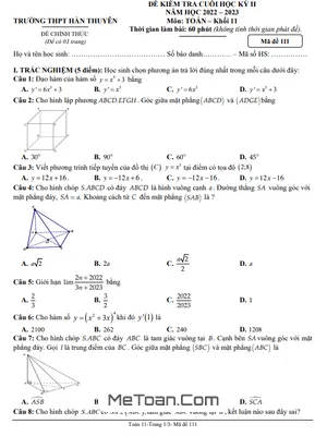 Đề thi học kỳ 2 Toán 11 năm 2022 - 2023 trường THPT Hàn Thuyên - TP.HCM