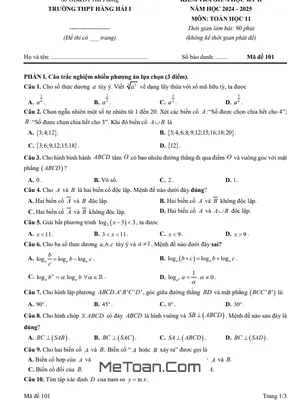 Đề giữa học kì 2 Toán 11 năm 2024 – 2025 trường THPT Hàng Hải 1 – Hải Phòng