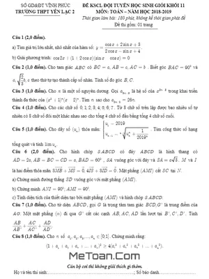 Đề KSCL Đội Tuyển HSG Toán 11 Năm 2018 - 2019 Trường Yên Lạc 2 - Vĩnh Phúc