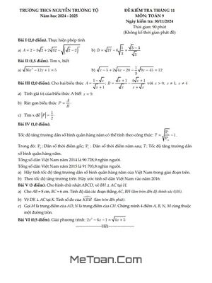 Đề kiểm tra tháng 11 Toán 9 năm 2024 - 2025 trường THCS Nguyễn Trường Tộ - Hà Nội