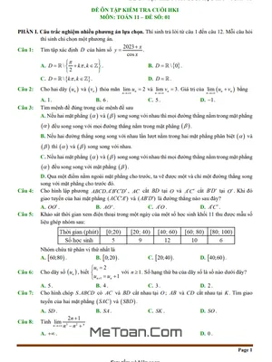 Tuyển tập 10 Đề Ôn Tập Cuối Kì 1 Toán 11 KNTT - Có Đáp Án Chi Tiết