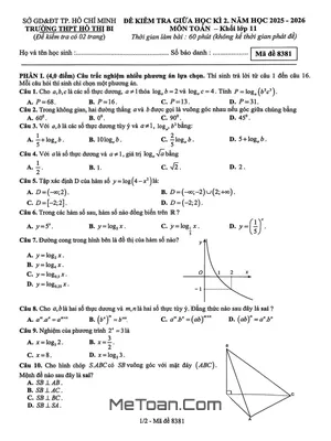 Đề Thi Giữa Học Kỳ 2 Toán 11 THPT Hồ Thị Bi 2025-2026: Cấu Trúc & Nội Dung