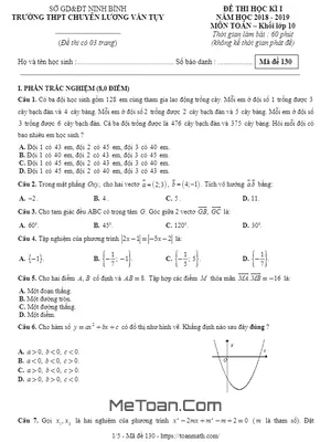 Đề thi HK1 Toán 10 năm 2018 - 2019 trường chuyên Lương Văn Tụy - Ninh Bình