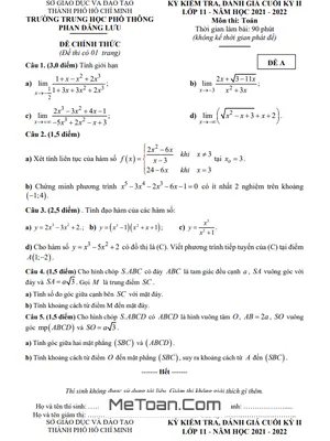 Đề Thi Cuối Kỳ 2 Môn Toán 11 Năm 2021 - 2022 Trường THPT Phan Đăng Lưu - TP.HCM