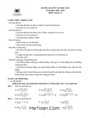 Hướng dẫn ôn tập học kì 2 Toán 11 năm 2020 - 2021 trường Vinschool - Hà Nội