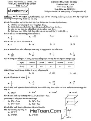 Đề thi cuối học kỳ 1 Toán 7 năm học 2025 – 2026 trường THCS Chu Văn An – TP.HCM