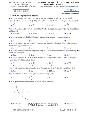 Đề thi học kì 1 Toán 12 năm 2019 - 2020 trường THPT Nguyễn Hữu Thọ - TP HCM